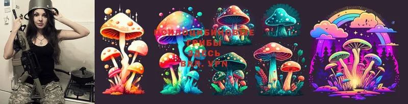 Галлюциногенные грибы MAGIC MUSHROOMS  Абаза 